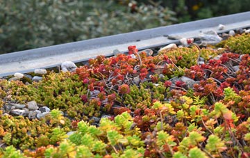 the cost of Stanton St Bernard green roof installation