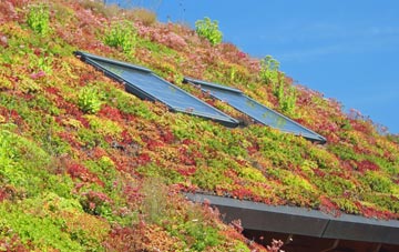 Stanton St Bernard living roof systems