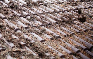 Stanton St Bernard roof cleaning companies