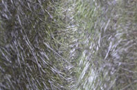 Stanton St Bernard fibreglass roof work